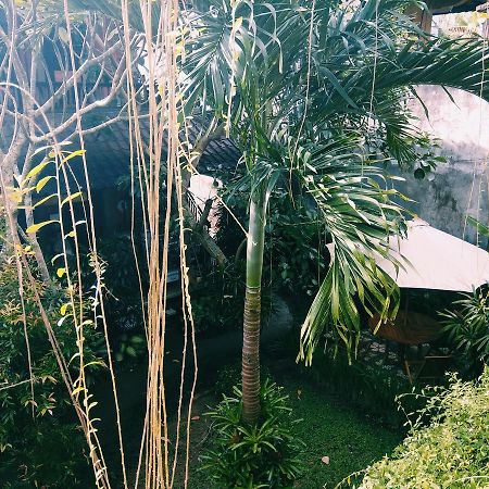 Hotel Nani House 2 Ubud Exterior foto